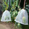 50Pcs Plant Protective Covers Mesh Net Bags Drawstring Fruit Insects Barrier Garden Netting Bag Fruit Insects Barrier