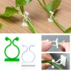 5/10/20Pcs Green Plant Fixer Wall Hanging Style Universal Hook Trellis for Basket Vine Climbing Plants Household Garden Tools